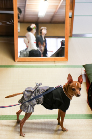 スマイルハンター 京都店_ペットちゃんと一緒