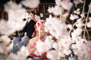 スマイルハンター_京都&times;ロケーション（桜）②