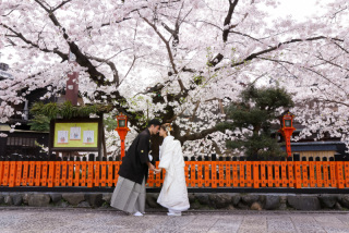 スマイルハンター_京都&times;ロケーション（桜）①