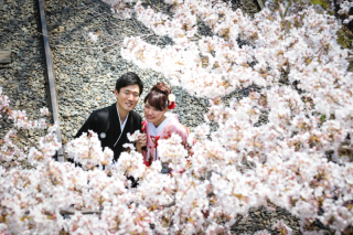 スマイルハンター_京都&times;ロケーション（桜）①