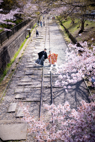 スマイルハンター_京都&times;ロケーション（桜）②