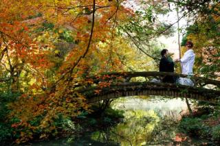 スマイルハンター_京都&times;ロケーション（紅葉）②