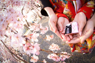 スマイルハンター_京都&times;ロケーション（桜）②