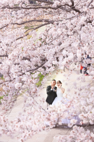 スマイルハンター 京都店_ドレス②京都&times;ロケーション ドレス