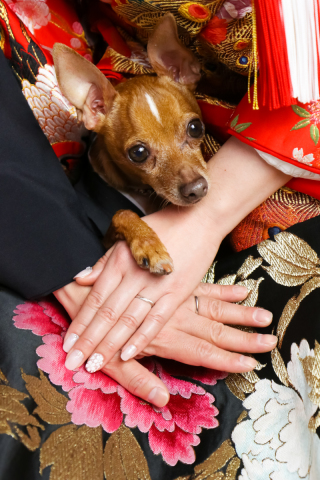 スマイルハンター 京都店_ペットちゃんと一緒