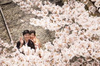 スマイルハンター_京都&times;ロケーション（桜）①