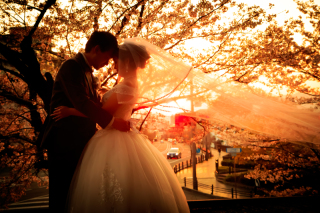 スマイルハンター 京都店_夜景