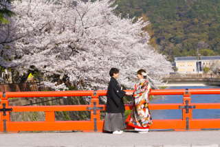 スマイルハンター_京都&times;ロケーション（桜）①