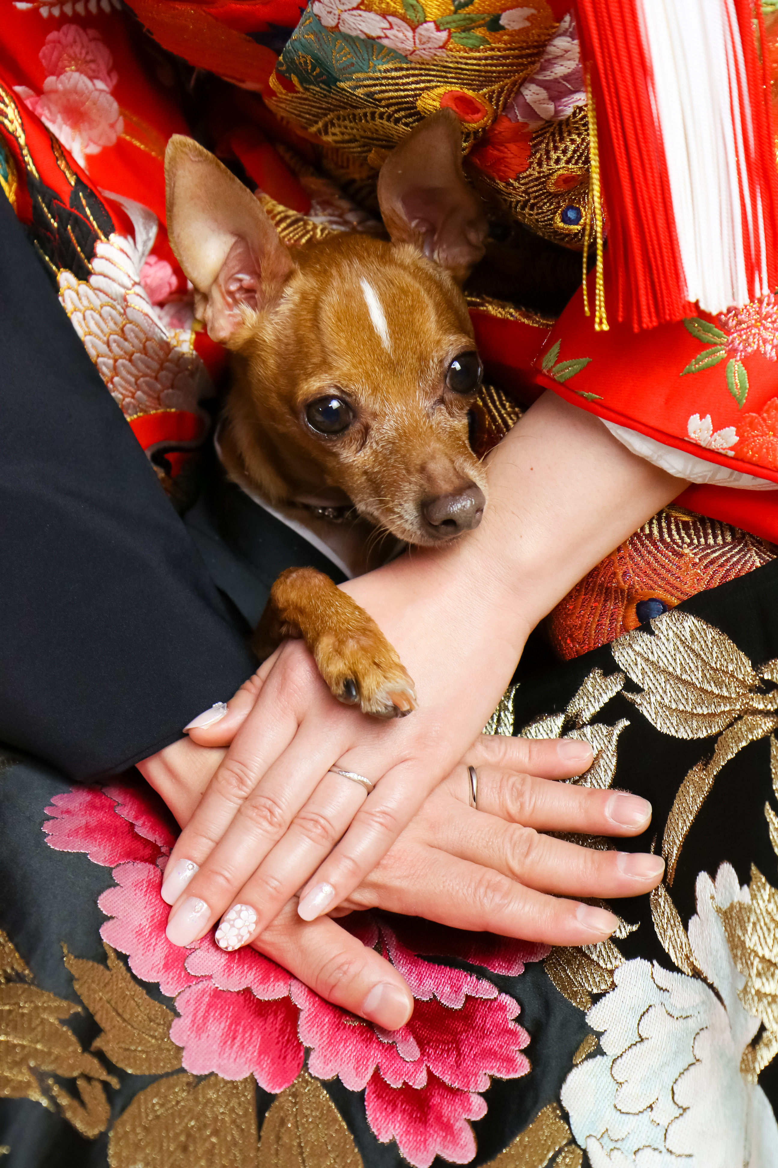 20以上ある撮影シーン