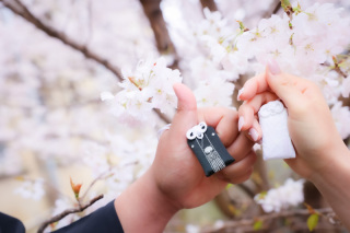 スマイルハンター_京都&times;ロケーション（桜）②