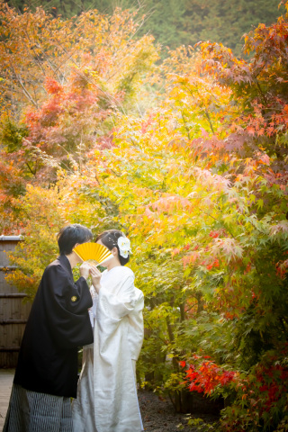 お気に入りの１枚