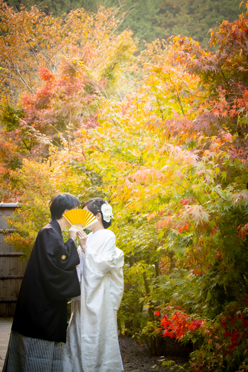 お気に入りの１枚