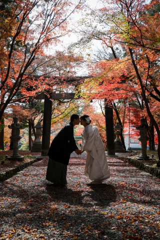 お気に入りの１枚