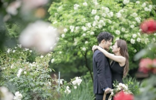 お気に入りの１枚