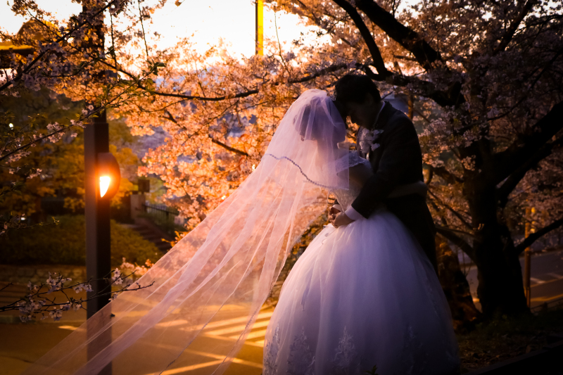 お気に入りの一枚