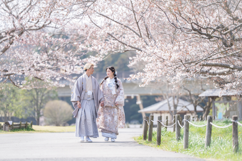 桜のトンネル