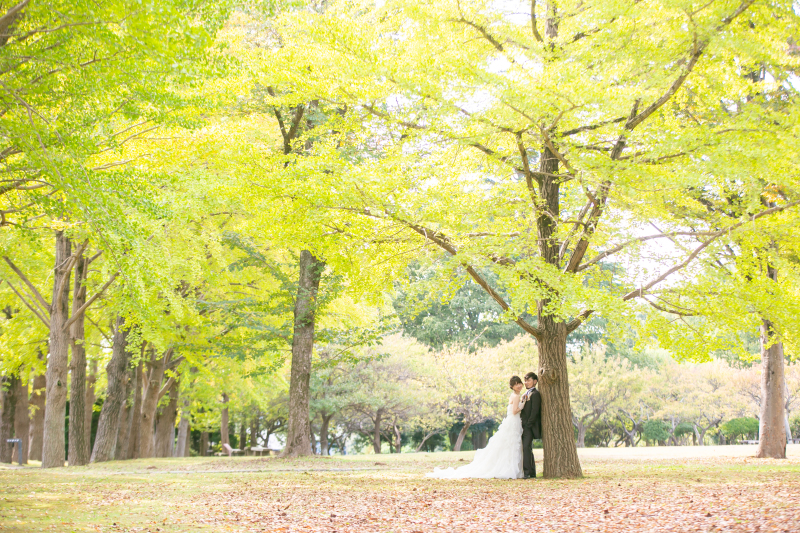 ラストは銀杏の木の下で