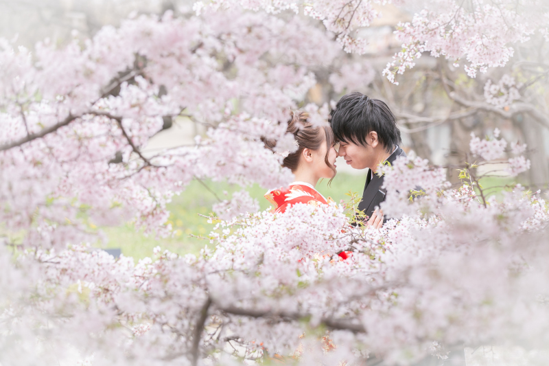 さくらフレーム