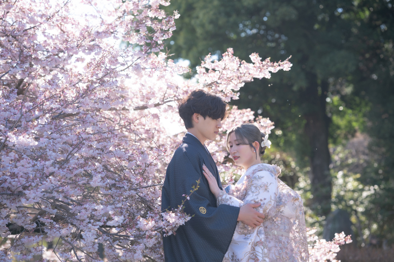 SAKURA×HIKARI