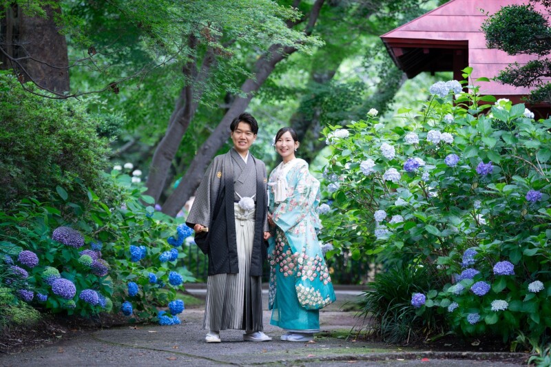 紫陽花×オーガンジー打掛