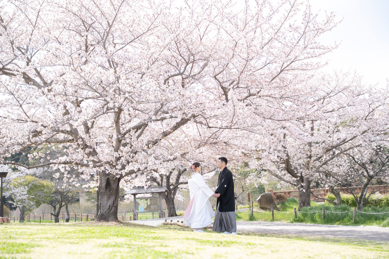 桜の木の下で