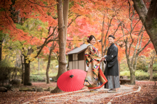 もみじの紅葉ロケ