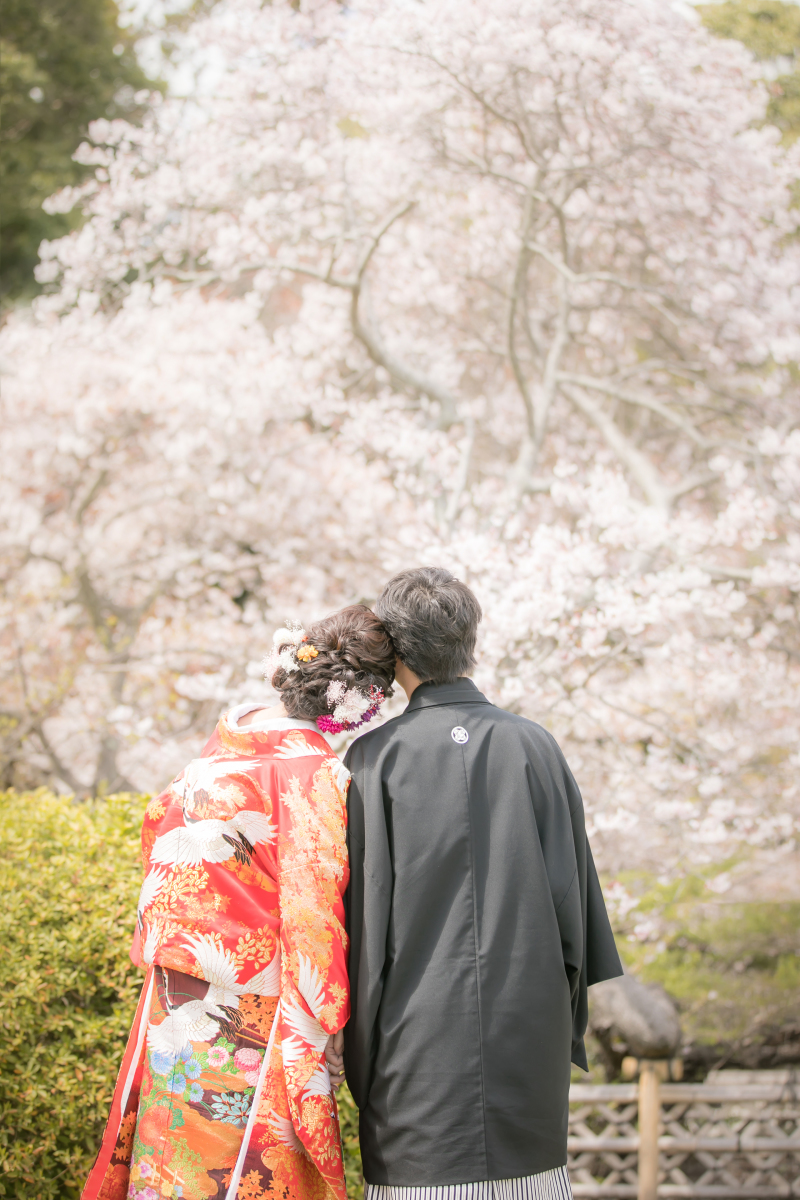 満開の桜を眺めながら