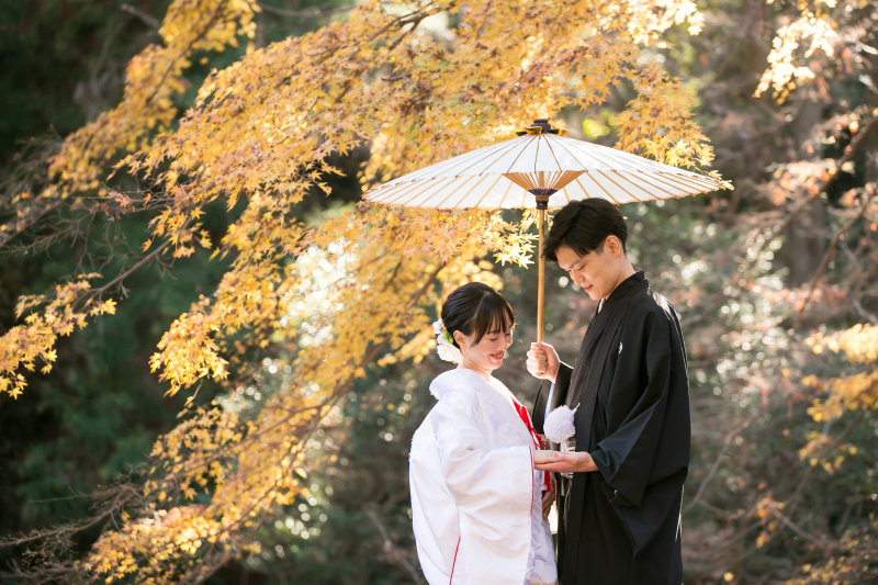 イエローもみじ