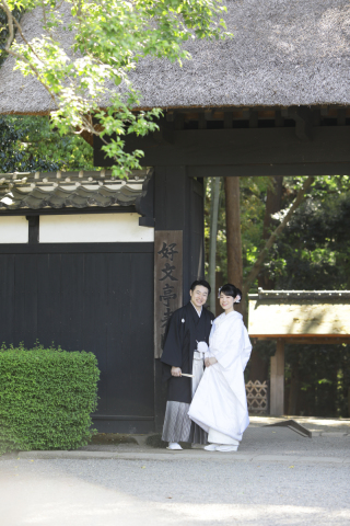 新緑ロケーション