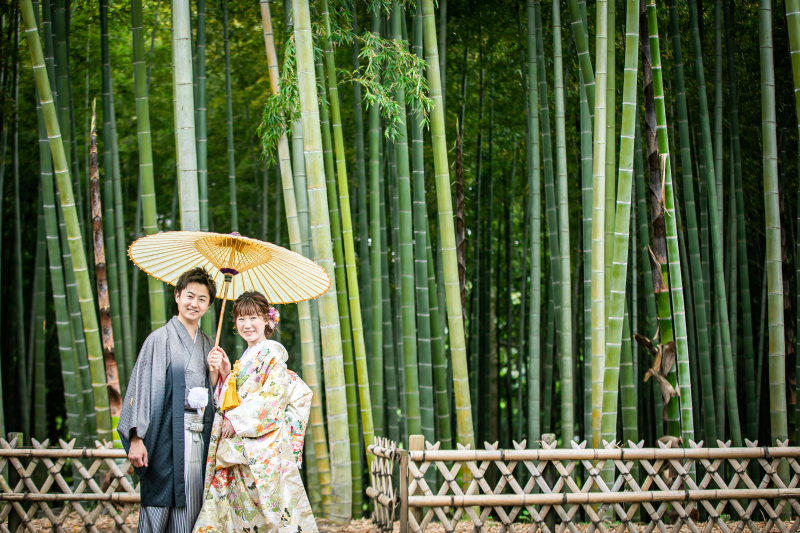 新緑シーズンの竹林