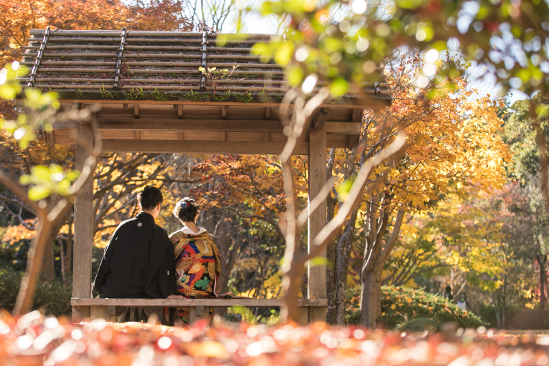 後ろ姿も素敵に。