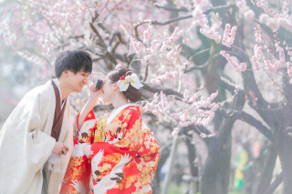 梅とドライフラワーとコンフェッティ