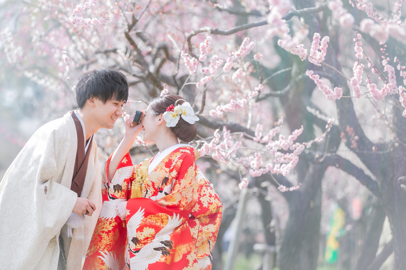 梅とドライフラワーとコンフェッティ