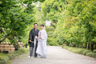 白無垢が映える偕楽園新緑ロケ