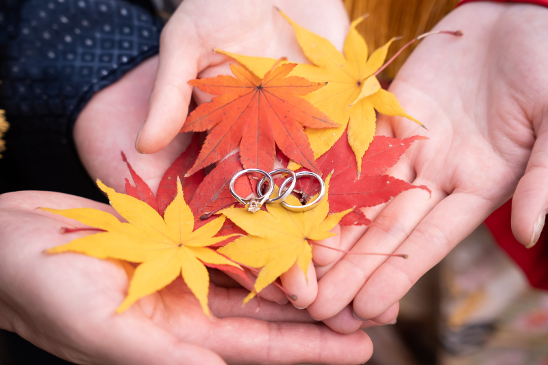 日本三名園で紅葉ロケ