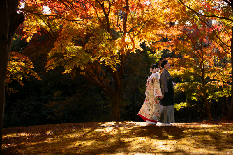 偕楽園もみじ谷ロケ