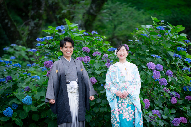 紫陽花ロケ