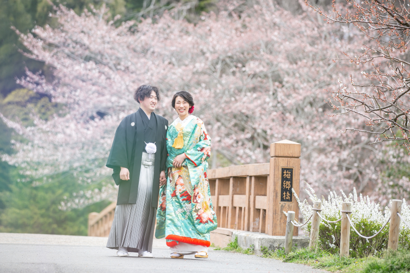 桜並木をお散歩