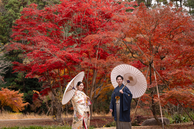 もみじ&times;番傘