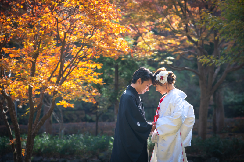 偕楽園もみじ谷