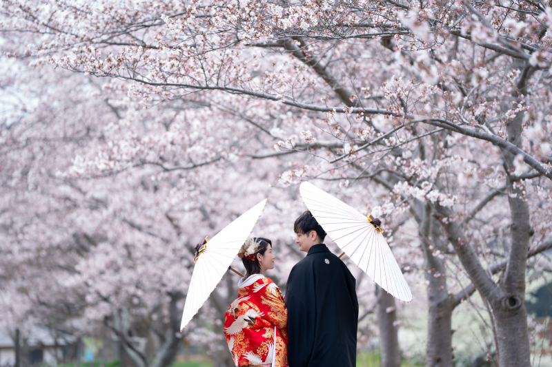 春の桜ロケ