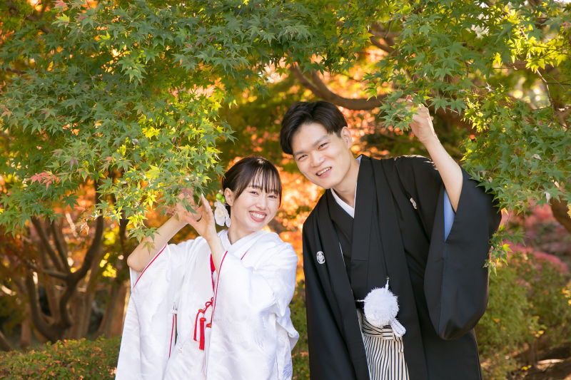 グリーンもみじ