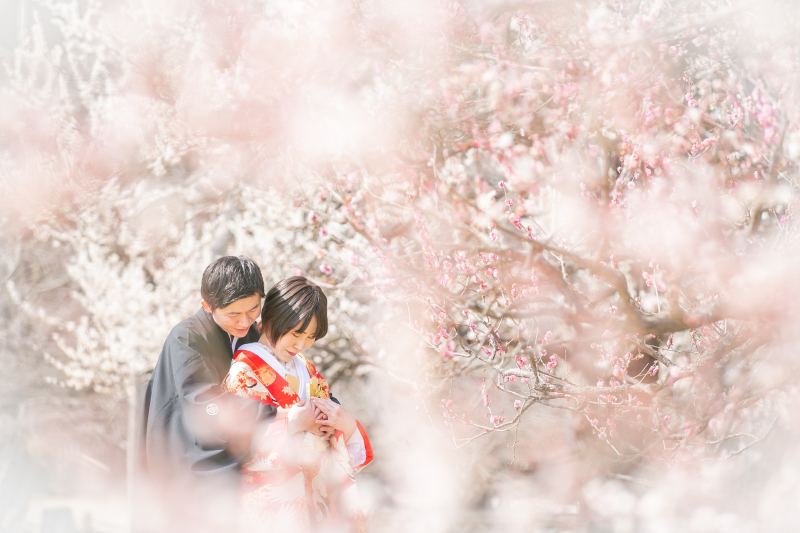 春の2着プラン（梅ロケ＆スタジオ）