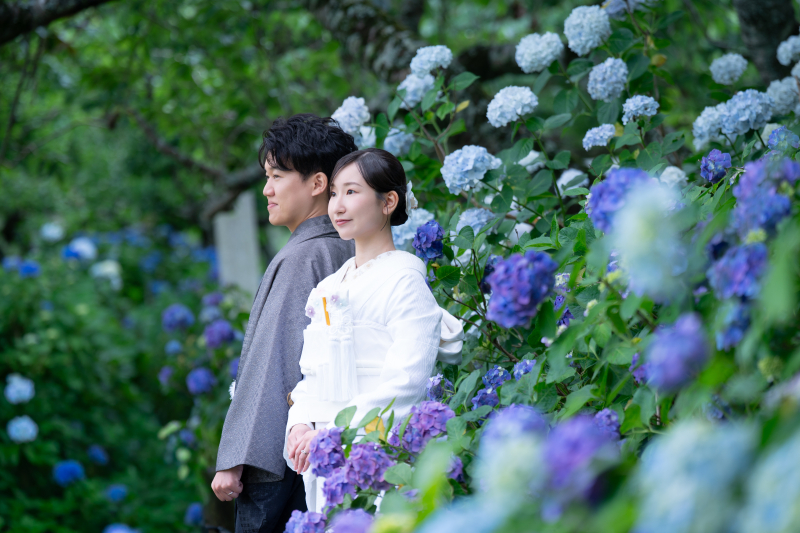 紫陽花に囲まれて