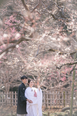 2着プラン（梅ロケ＆スタジオ）