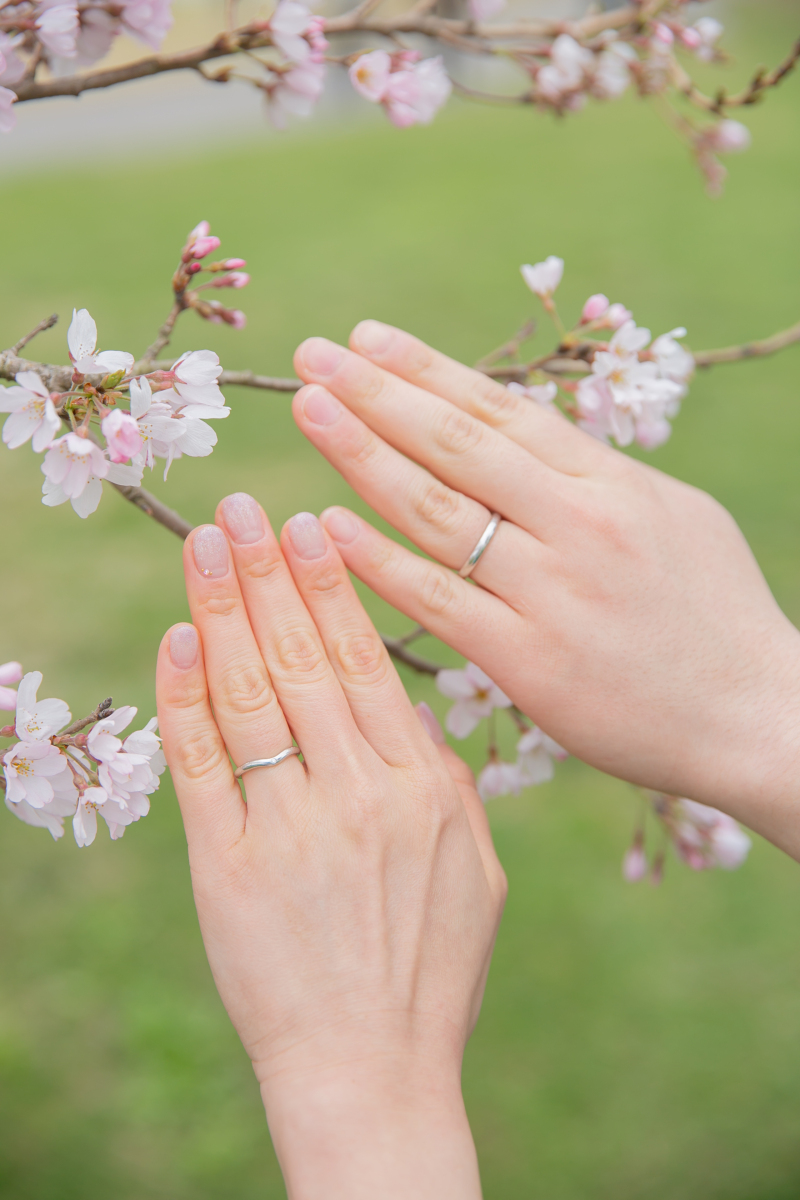 桜と指輪