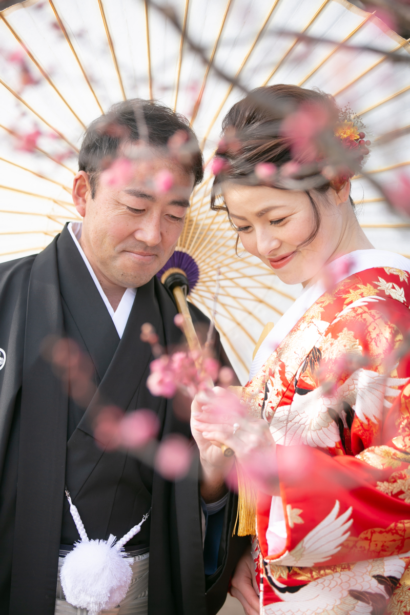 念願の梅が咲き始めました！！