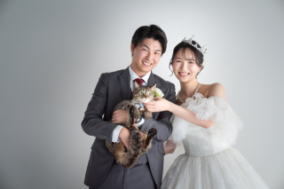 スタジオ マタニティウェディングフォト 画像