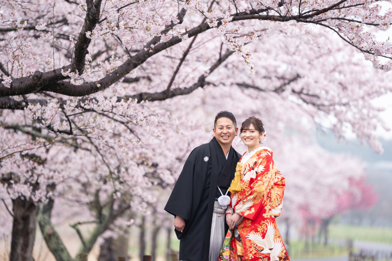 和装で桜ロケ
