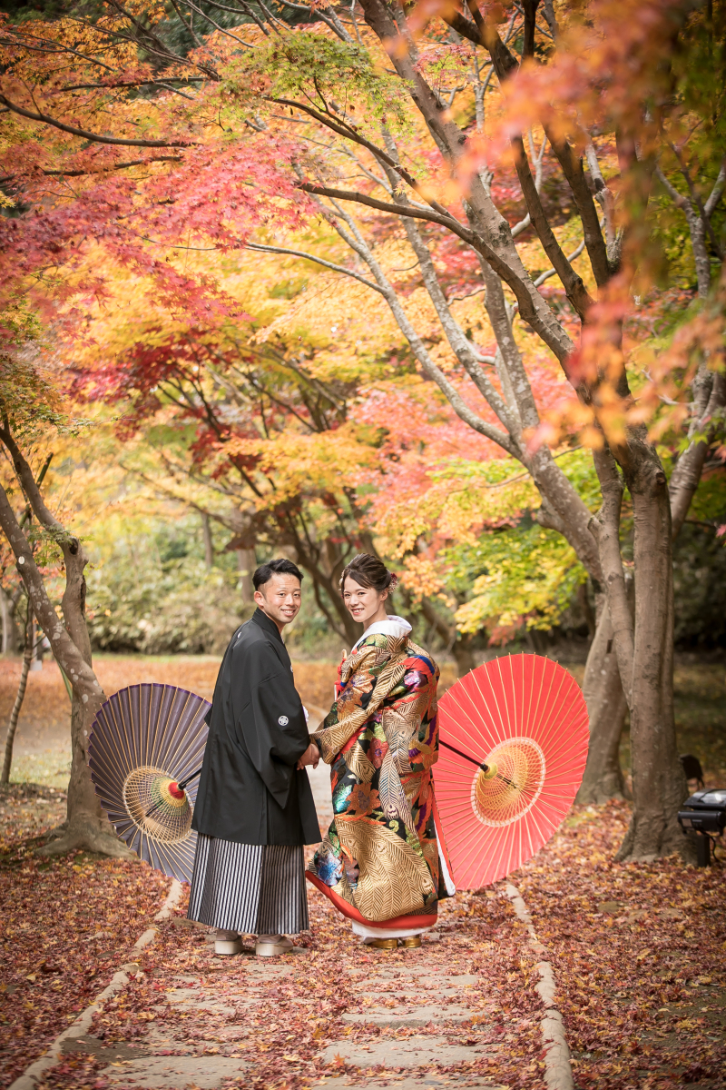 もみじの絨毯！